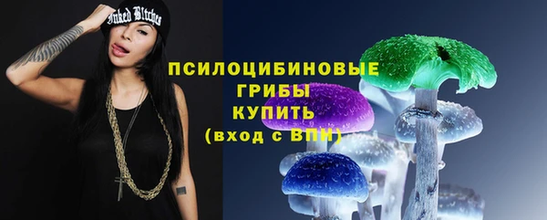 МДПВ Карталы