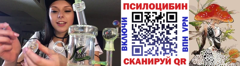 Купить где  Красный Сулин  Псилоцибиновые грибы MAGIC MUSHROOMS 